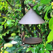 Gazebo Shaped Bird Feeder