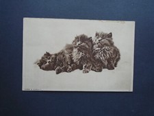 "WARM AND CUDDLY" - 3 FLUFFY