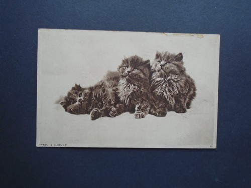 Warm and cuddly 3 - -, fluffy