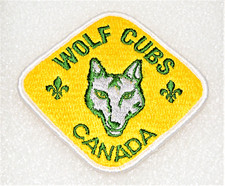 RECTANGLE Silver Wolf Cubs