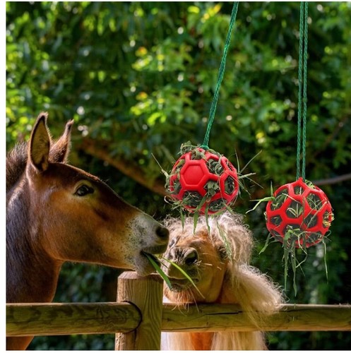 Pcs tirifer horse - pcs, hay