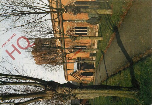 Picture postcard long - picture, buckby