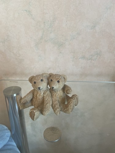 Beau bear seymour - seymour, sisters