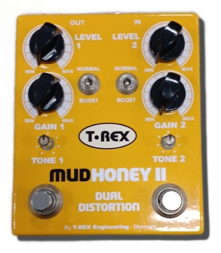 Rex mudhoney distortion - mudhoney,