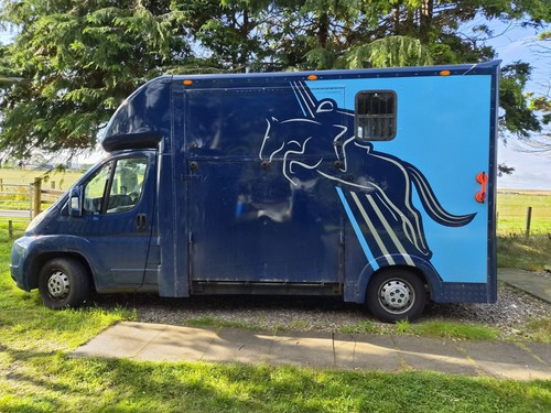 Fiat ducato horse - ducato, lorry