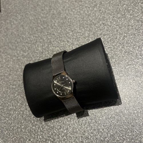 Skagen titanium ladies watch - titanium,