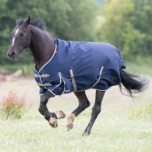 Gallop trojan duraproof - gallop,