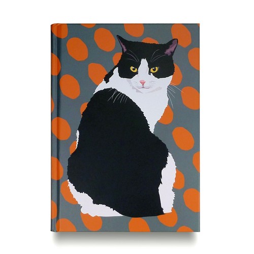 Black and white - and, cat