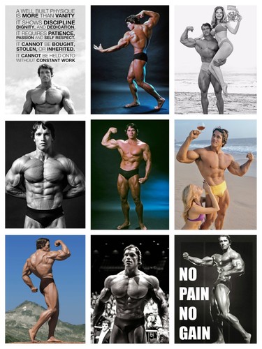 Arnold schwarzenegger arni - -,
