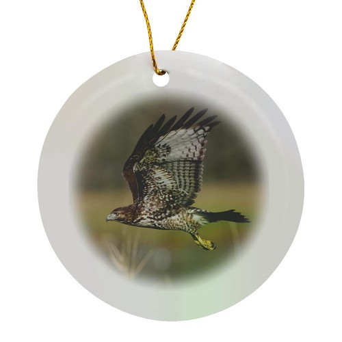 3drose red tail hawk - red-tail,