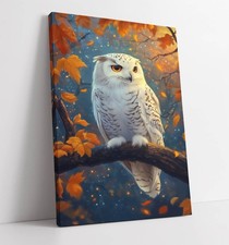 WHITE OWL ON A BRANCH -FRAMED