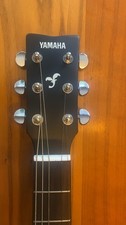 Acoustic electro guitar