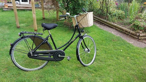 Pashley princess sovereign