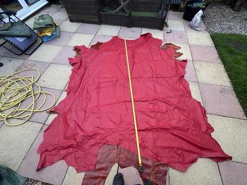 Quality leather hide bright - leather,