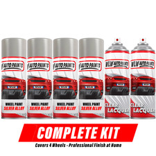 Professional Silver Alloy