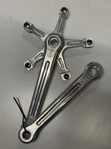 Campagnolo pista 180mm fixed - campagnolo,