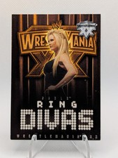 Sable 2004 Fleer WWE