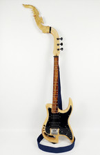 Professional Custom Electric
