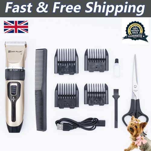 Professional pet dog grooming - dog,