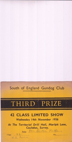 South england gundog - of,