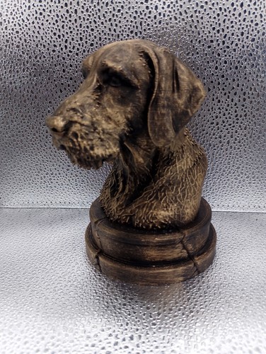 Wirehaired vizsla bust - wirehaired,