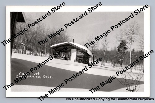 Snowy log cabin columbine - snowy,