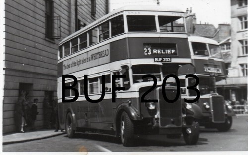 Southdown 103 buf 203 - southdown,