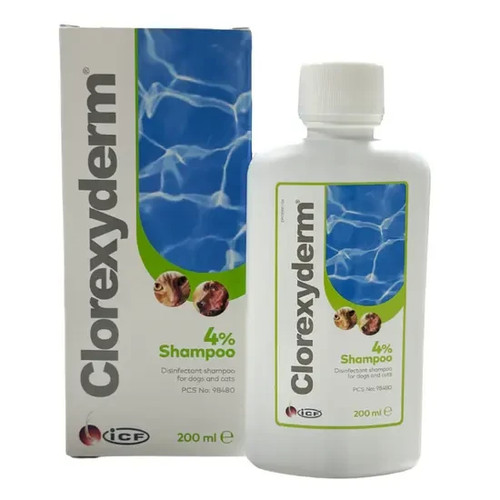 Clorexyderm shampoo for - clorexyderm,