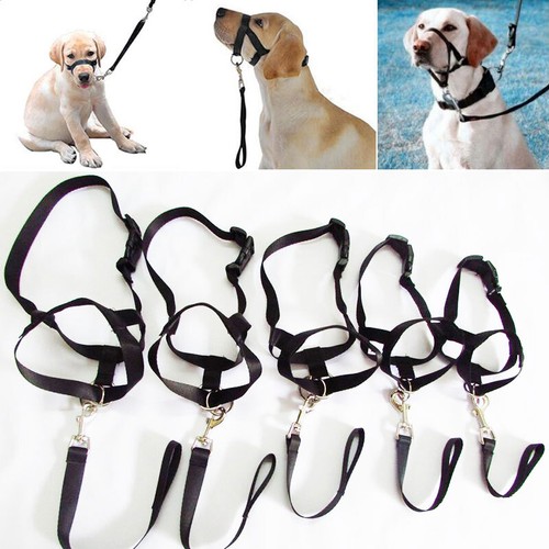 Dog muzzle halti - halti, style