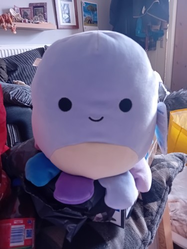 Squishmallows beula the - beula,