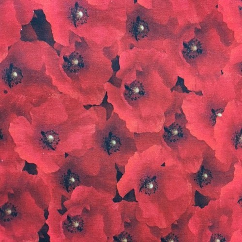 Little johnny red poppies - little,