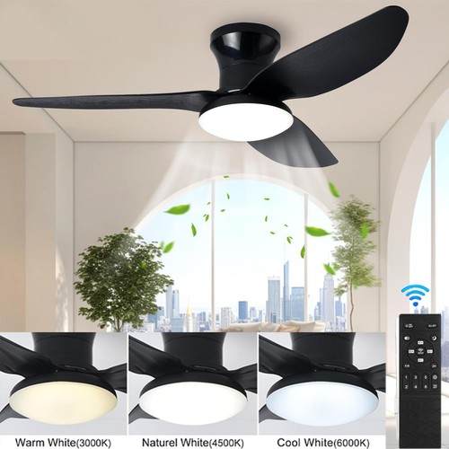 Speed large led - large, ceiling