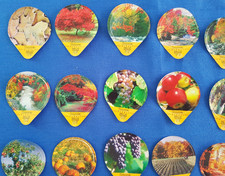 Burra coffee cream lids autumn - coffee,