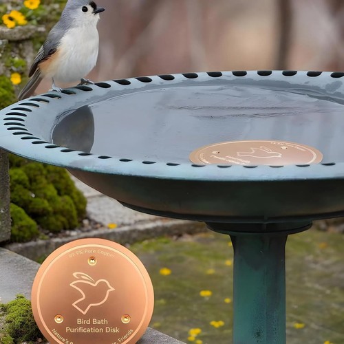 Bird bath copper - copper, pure