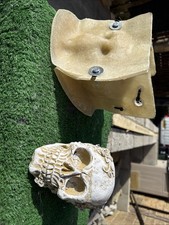 Latex and Fiberglass Mould of