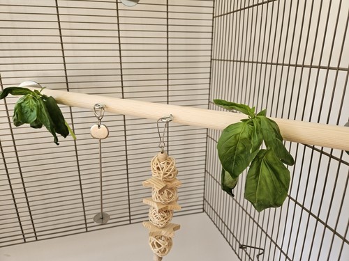 Corner perch hooks - (50cm),