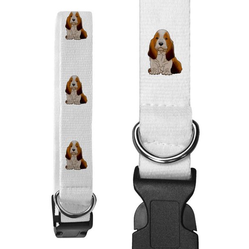 Basset hound puppy - 'basset,