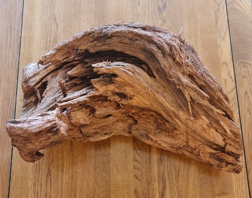 Xxxl curved piece reptile - xxxl, of