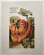 GIRAUMON TURBAN BONNET TURC, Botanical reproduction print