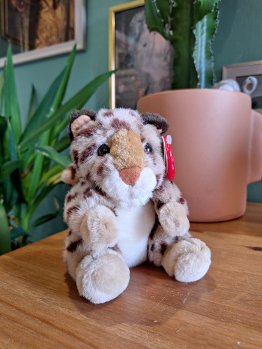 Keel big cat - cat, soft