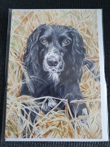 Black cocker spaniel greetings - black,