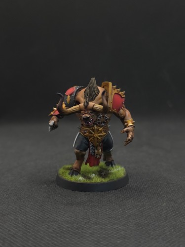 Blood bowl pro painted - blood,