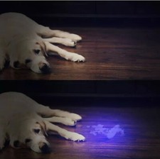 Pet Urine/ Pee Detection Torch- Cat, Dog,Pet, Stain Detector FREE BATTERIES