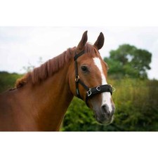 Cameo Lunge Cavesson Black