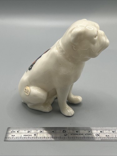 Crested china bulldog - crested,