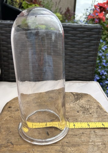 Vintage glass cloche dome - glass,