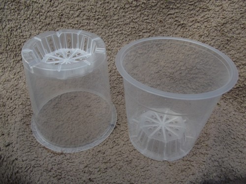 Clear orchid pot 12cm - 10,