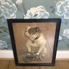 John Bull Bulldog Military Red