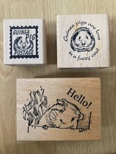 3 x Collectable GUINEA PIG