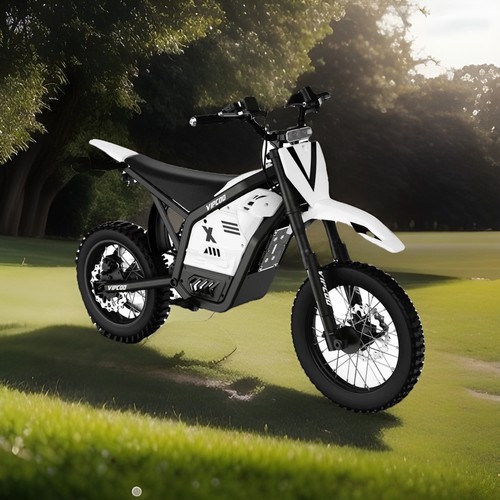 Vipcoo electric motorbike - vipcoo, h2